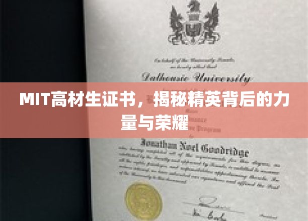 解码MIT精英，高材生证书背后的力量与荣耀