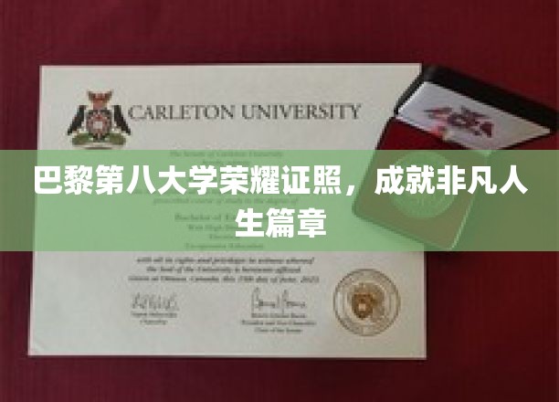 巴黎第八大学荣耀证书，成就非凡人生篇章
