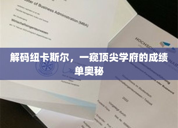 解码纽卡斯尔，一窥顶尖学府的成绩单奥秘