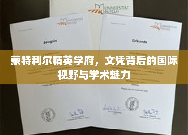 蒙特利尔顶尖学府揭秘，文凭背后的全球视角与学术光环