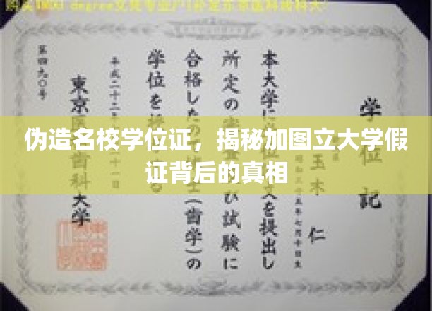 伪造学历风潮，揭秘加图立大学假证泛滥的内幕
