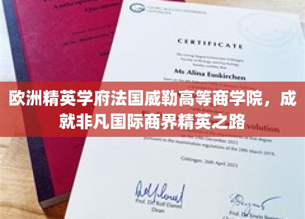 探寻法国威勒高等商学院，塑造未来商业领袖的精英摇篮