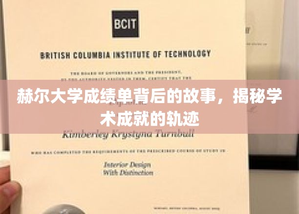 探寻赫尔大学成绩单背后的学术传奇之路