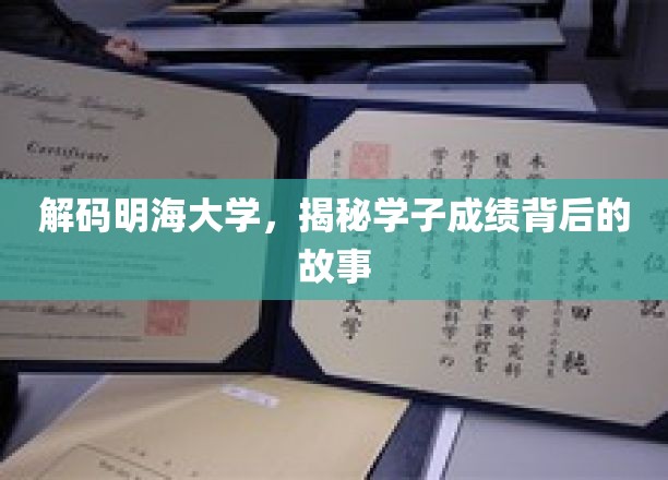 探寻明海学子卓越成绩的秘密之旅