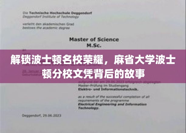 探寻麻省大学波士顿分校荣耀，文凭背后的传奇历程