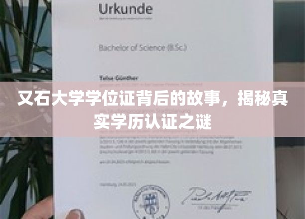 探秘又石大学，学位证书背后的学历认证真相