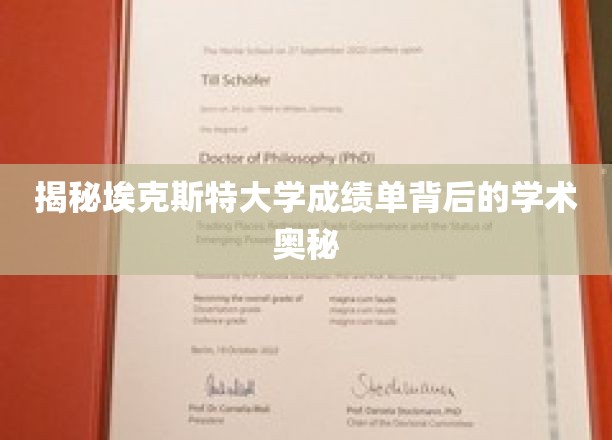 埃克斯特大学成绩单，探寻隐藏的学术密码与卓越之路