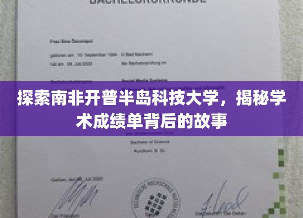 解码开普半岛科技大学，学术成绩单背后的精彩篇章