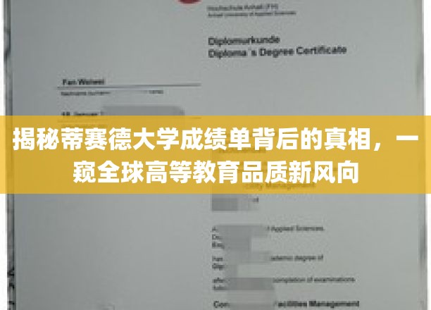 解码蒂赛德大学成绩单，探寻国际高等教育品质新维度