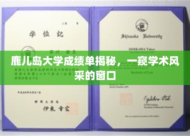探寻鹿儿岛大学学术魅力，成绩单背后的学术风采展示
