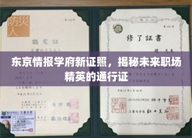 东京情报学府新证照，揭秘未来职场精英的通行证