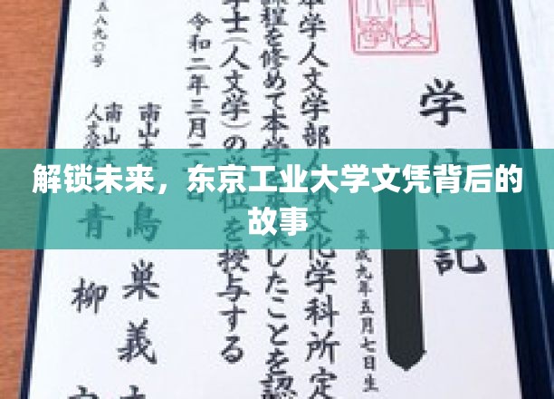 解锁未来，东京工业大学文凭背后的故事