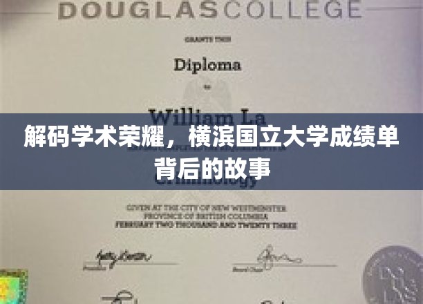 探寻荣耀之源，揭秘横滨国立大学成绩单背后的传奇
