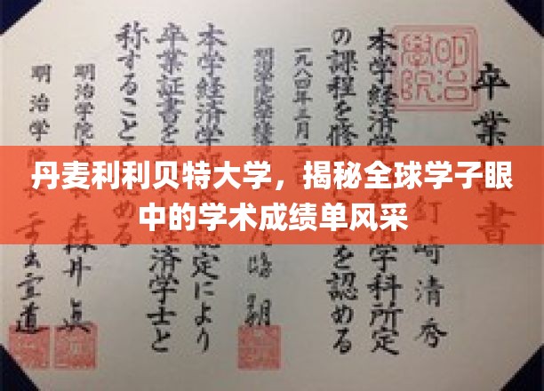 丹麦利利贝特大学，全球学子赞誉的学术成绩单魅力大揭秘