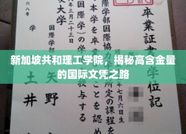 新加坡共和理工学院，开启国际文凭之路的奥秘