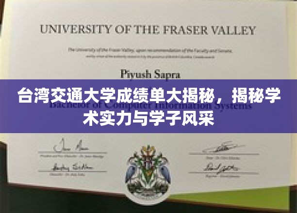 台交大学子风采，揭秘成绩单背后的学术实力与青春足迹