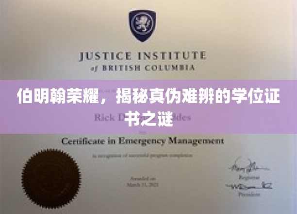 伯明翰之光，揭开学历证书迷雾中的真伪迷局