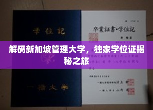 新加坡管理大学学位证背后的秘密探索之旅