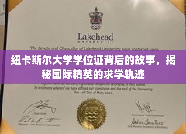 纽大文凭背后的传奇，探索全球精英求学之路的秘密角落