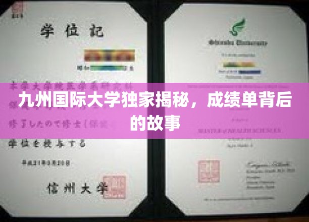 揭开九州国际大学成绩单背后的真实秘闻