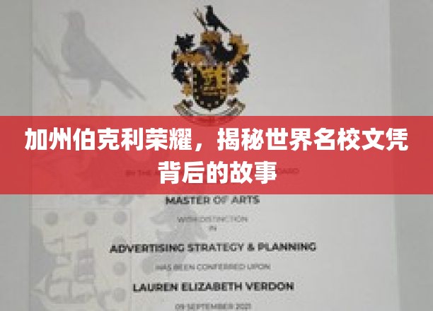解码加州伯克利辉煌，名校文凭背后的传奇历程