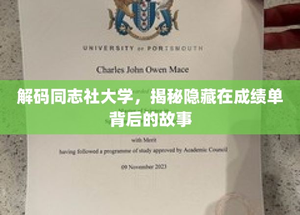 解码同志社大学，揭秘隐藏在成绩单背后的故事