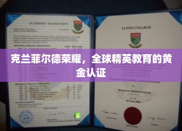 克兰菲尔德之光，国际精英培养的卓越金标准