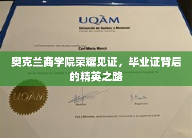 奥克兰商学院荣耀加冕，探寻精英学子背后的奋斗足迹
