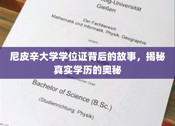 尼皮辛大学学位证揭秘，探寻学历背后的真实面纱
