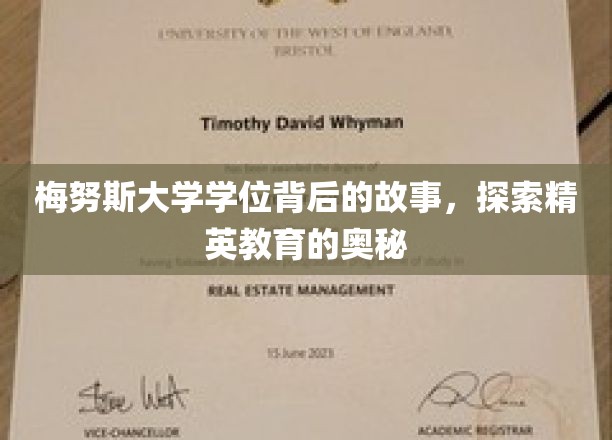解码梅努斯精英学府，学位背后的传奇与智慧之光