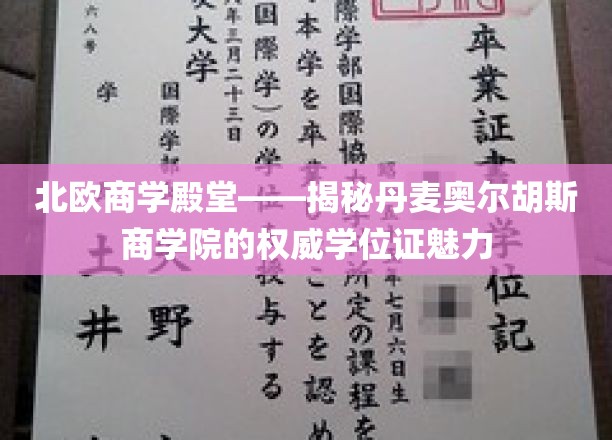 探索丹麦奥尔胡斯商学院，北欧教育明珠的学位证奥秘