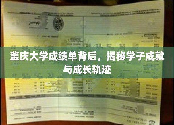 釜庆大学成绩单背后，揭秘学子成就与成长轨迹