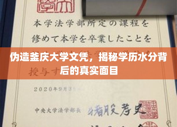 文凭造假风波，釜庆大学文凭事件揭开学历证书的隐秘真相