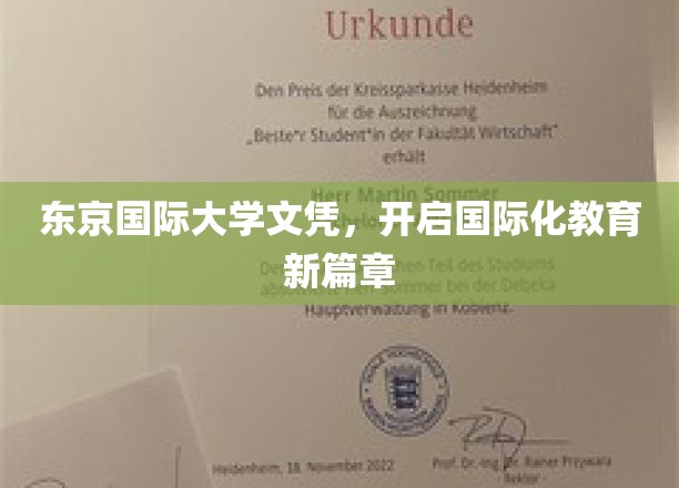 东京国际大学文凭，引领未来教育新格局