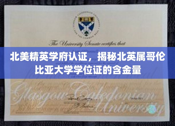 北美精英学府认证，深度解析北英属哥伦比亚大学学位证的含金量