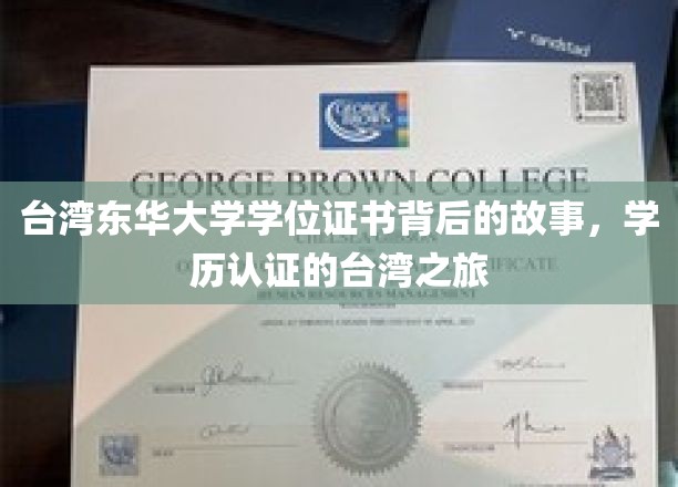 探寻台湾东华大学学位证书之谜，一场学历认证的台湾奇旅
