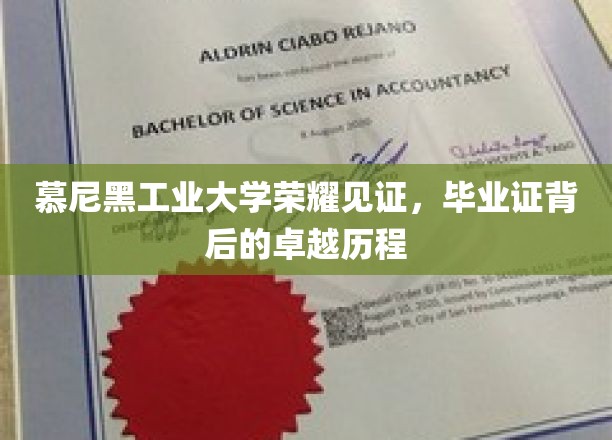 慕尼黑工业大学荣耀见证，毕业证背后的卓越历程