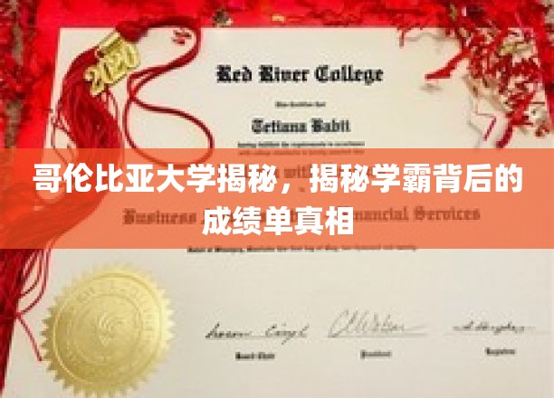 哥伦比亚大学学霸成绩单背后的秘密大起底