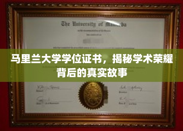 马里兰大学学位证书，揭秘学术荣耀背后的真实故事