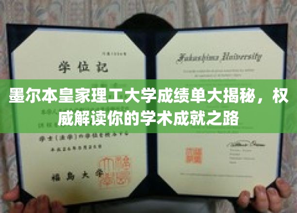 墨大成绩单背后的奥秘，深度解析学术成就的奥秘之旅