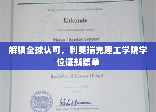 跨越国界，利莫瑞克理工学院学位证开启国际认可新纪元