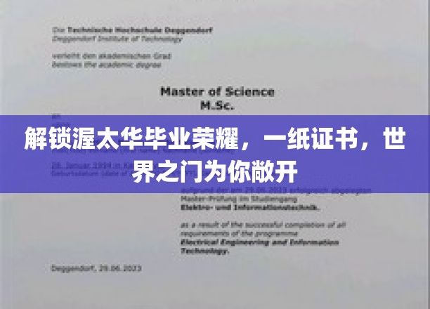 渥太华荣耀证书，开启你的全球通行证