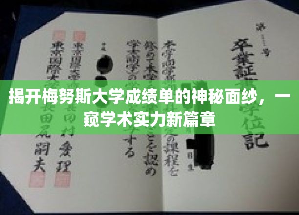 解码梅努斯大学成绩单，揭秘顶尖学术风采的神秘世界