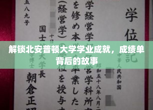 解锁北安普顿大学学业成就，成绩单背后的故事