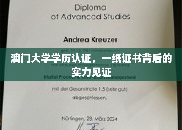 澳门大学学历认证，一纸证书背后的实力见证