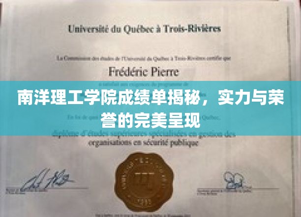 南洋理工学院荣耀揭晓，一纸成绩单见证非凡实力