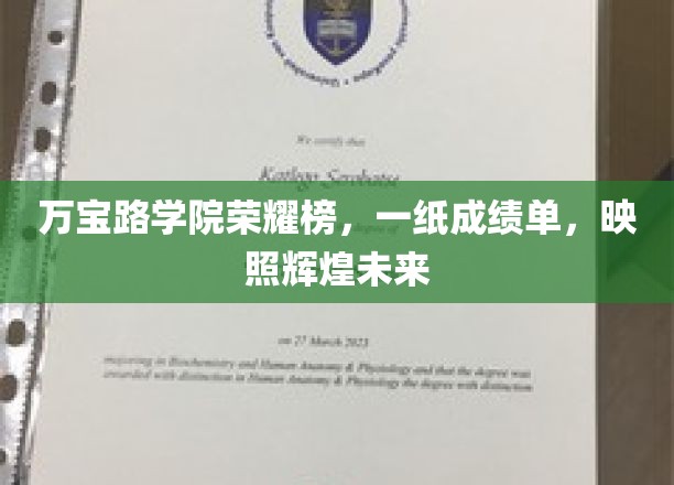 万宝路学院荣耀榜，一纸成绩单，映照辉煌未来