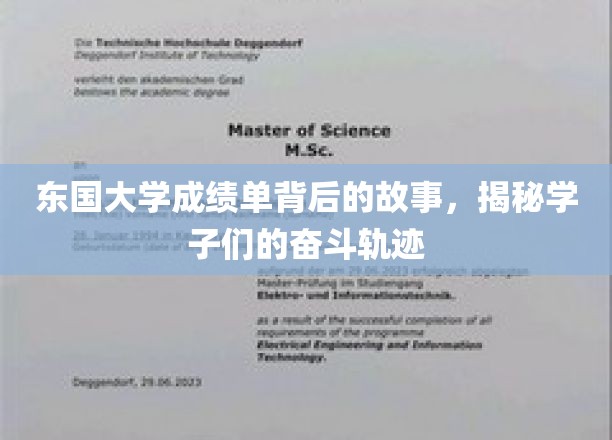 东国学子奋斗绘，揭开成绩单背后的成长篇章