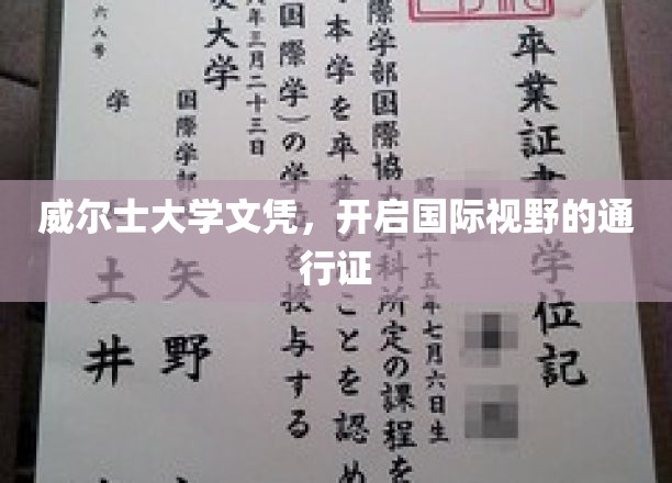 跨国梦想启航，威尔士大学文凭，解锁全球视野之门