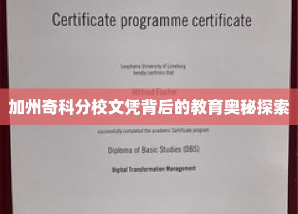 解码加州奇科分校，文凭背后的独特教育魅力揭秘